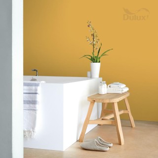 DULUX EASYCARE KŁ ZŁOTY PIEPRZ 2.5L