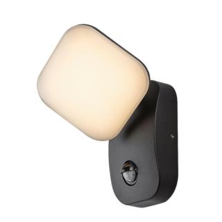 Lampa Ogrodowa Ścienna Odiel Rabalux LED 12W IP44 Czujnik Ruchu 77058