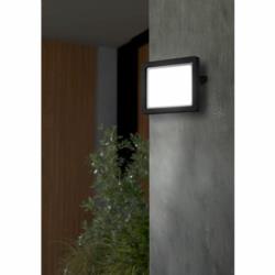 Naświetlacz Reflektor Filetti Eglo LED 30W IP65 Czarny 64853