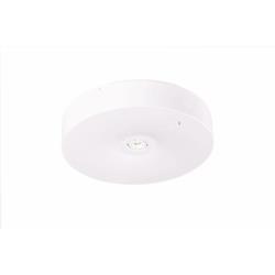 Oprawa Natynkowa Lampa Sufitowa Starlet Intelight LED 1,5W Biała 91769