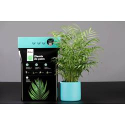 Ziemia do palm 5L Wokas Smart