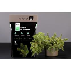 Ziemia do iglaków 20L Wokas Smart