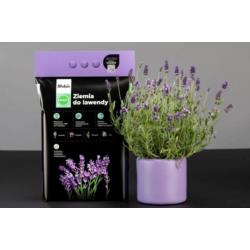 Ziemia do lawendy 5L Wokas Smart