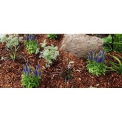 Mulcz do ściółkowania Wokas Smart 50L