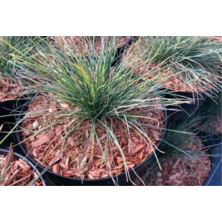 Mulcz do ściółkowania Wokas Smart 50L