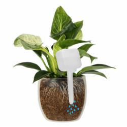 Nawadniacz do roślin biały 200ml Browin 720981