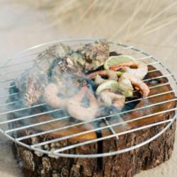 Grill turystyczny węglowy 10x22x22cm EcoGrill
