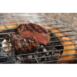 Grill turystyczny węglowy 10x22x22cm EcoGrill