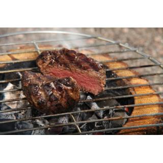 Grill turystyczny węglowy 10x22x22cm EcoGrill