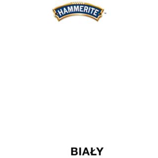 Prosto Na Rdzę Połysk Ciemnoszary 0,25L Hammerite
