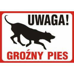 Znak ostrzegawczy Uwaga Groźny Pies ZI84 Mój Dom Plus