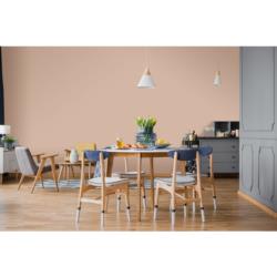 Farba Ceramiczna do Ścian Ceramic C9 Delikatny Bronzyt 2,5L Magnat