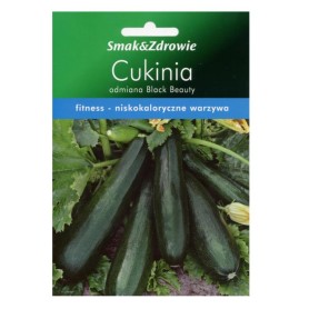 DYNIA ZWYCZAJNA-CUKINIA, BLACK BEAUTY ND29600