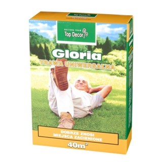 TRAWA GLORIA 1KG TD9715