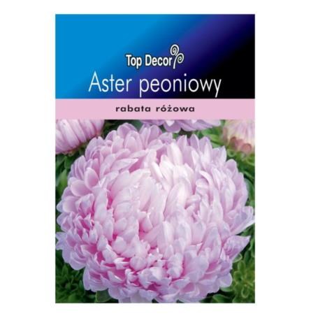 ASTER PEONIOWY BRIGHT ROSE ND41080