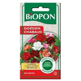 GOŹDZIK KROPKOWANY CARMINE RED ND53350