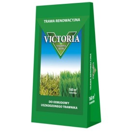 TRAWA RENOWACYJNA 4kg VICTORIA TC4440