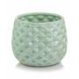 DONICA LUSTER GREEN 02.652.16