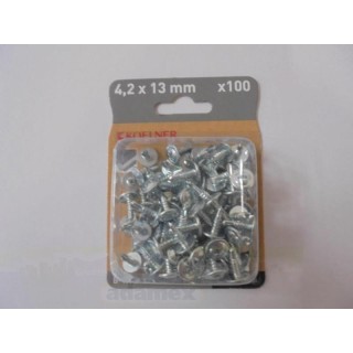 WKRĘTY WFS 4,2x13MM BLISTER 100SZT B-WFS-4213 WKRĘTY WFS 4,2x13MM BLISTER 100SZT B-WFS-4213