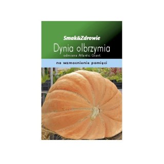 DYNIA OLBRZYMA ATLANTIC GIANT ND24860