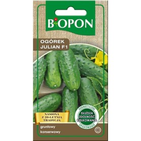 OGÓREK JULIAN F1 3G BIOPON