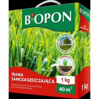 TRAWA SAMOZAGĘSZCZAJĄCA 1kg  BIOPON