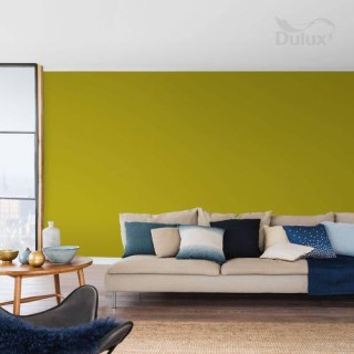 DULUX KOLORY ŚW.ZIELONE TARASY 5L