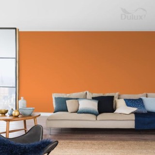 DULUX KOLORY ŚW.SUSZONE MORELE 5L