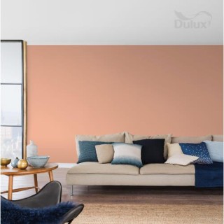 DULUX KOLORY ŚW.APETYCZNE TAPAS 5L