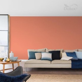 DULUX KOLORY ŚW.ARBUZOWA FIESTA 5L