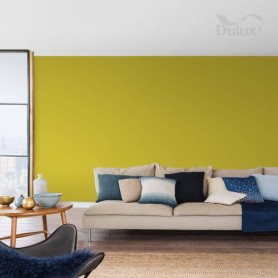 DULUX KOLORY ŚW.RYŻOWE POLA 5L