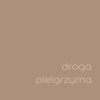 DULUX KOLORY ŚW. DROGA PIELGRZYMA 2.5L