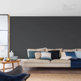 DULUX KOLORY ŚW. NOCNA WYPRAWA 5L