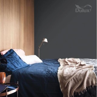 DULUX KOLORY ŚW. NOCNA WYPRAWA 5L