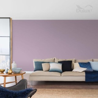 DULUX KOLORY ŚW.CZAR PROWANSJI 2.5L