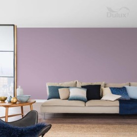 DULUX KOLORY ŚW.CZAR PROWANSJI 5L