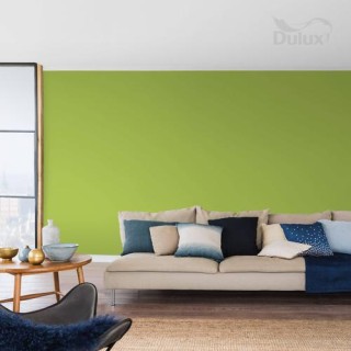 DULUX KOLORY ŚW.LAS RÓWNIKOWY 2.5L