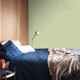 DULUX KOLORY ŚW.PĄKI AKACJI 5L