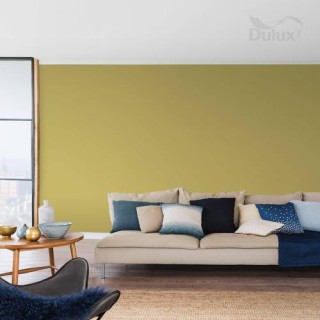 DULUX KOLORY ŚW.PLANTACJA KAWY 2.5L