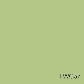 FARBA WEW.CERAMICZNA FWC37 2,5l GREINPLAST