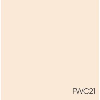 FARBA WEW.CERAMICZNA FWC21 2,5l GREINPLAST