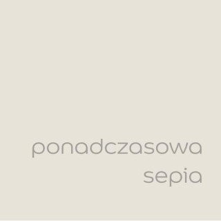 DULUX EASYCARE PONADCZASOWA SEPIA 5L