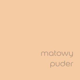 DULUX EASYCARE MATOWY PUDER 2,5L