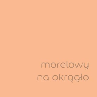 DULUX EASYCARE MORELOWY NA OKRĄGŁO 5L