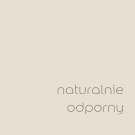 DULUX EASYCARE NATURALNIE ODPORNY 2,5L