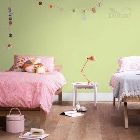 DULUX EASYCARE PERFEKCYJNA PISTACJA 5L