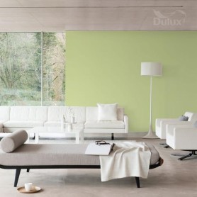 DULUX EASYCARE PERFEKCYJNA PISTACJA 5L