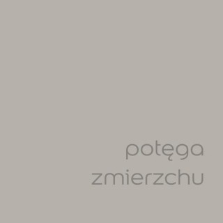 DULUX EASYCARE POTĘGA ZMIERZCHU 2,5L