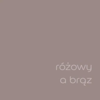 DULUX EASYCARE RÓŻOWY A BRĄZ 2,5L