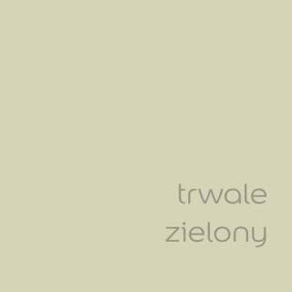 DULUX EASYCARE TRWALE ZIELONY 2,5L